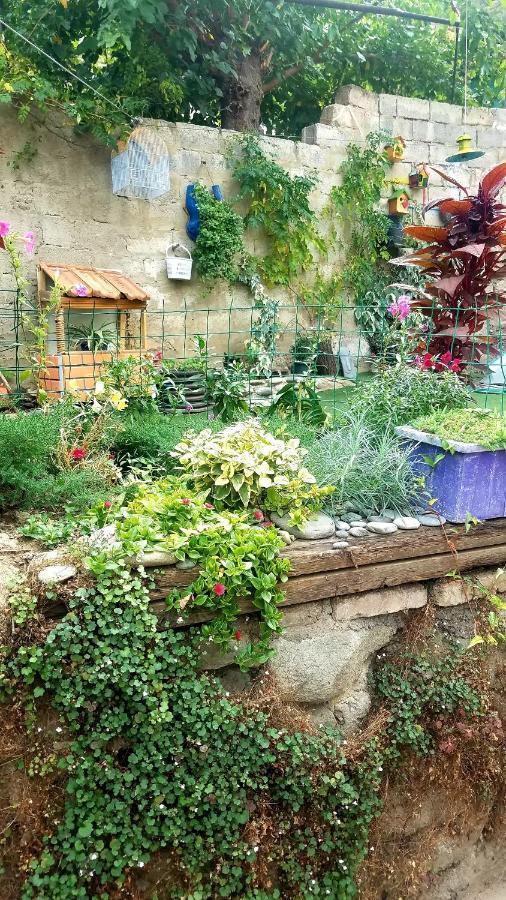 Nata Host Old Tbilisi Apartman Kültér fotó